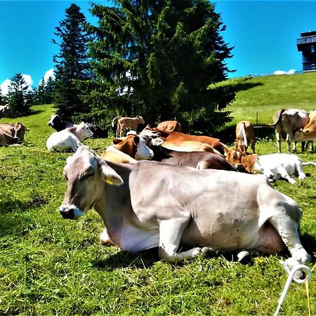 Ferienwohnung Oberallgaeu Ferienpark Mit Schwimmbad Missen-Wilhams Εξωτερικό φωτογραφία